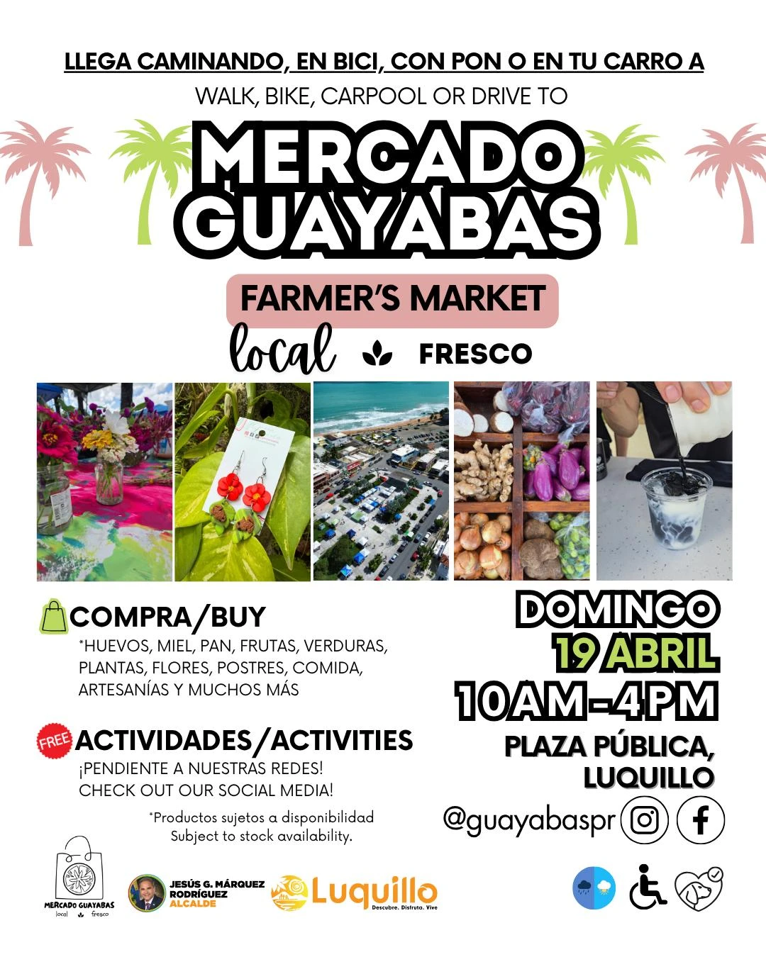 Mercado Guayabas - Luquillo