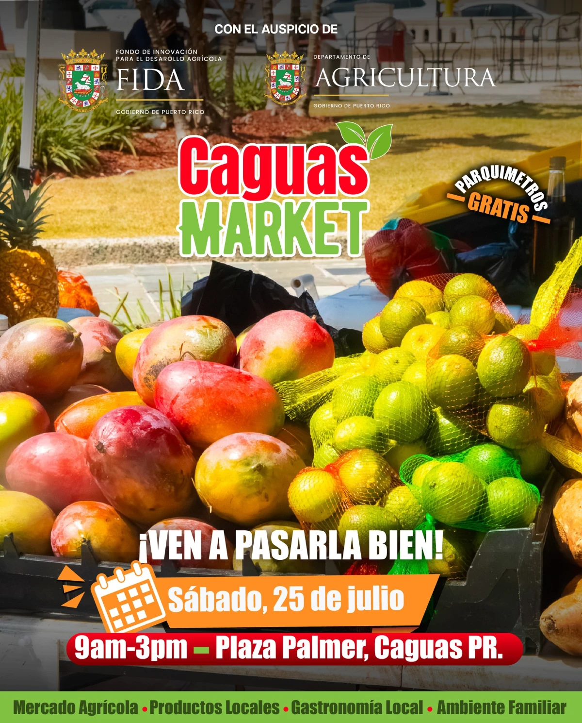 Caguas Market