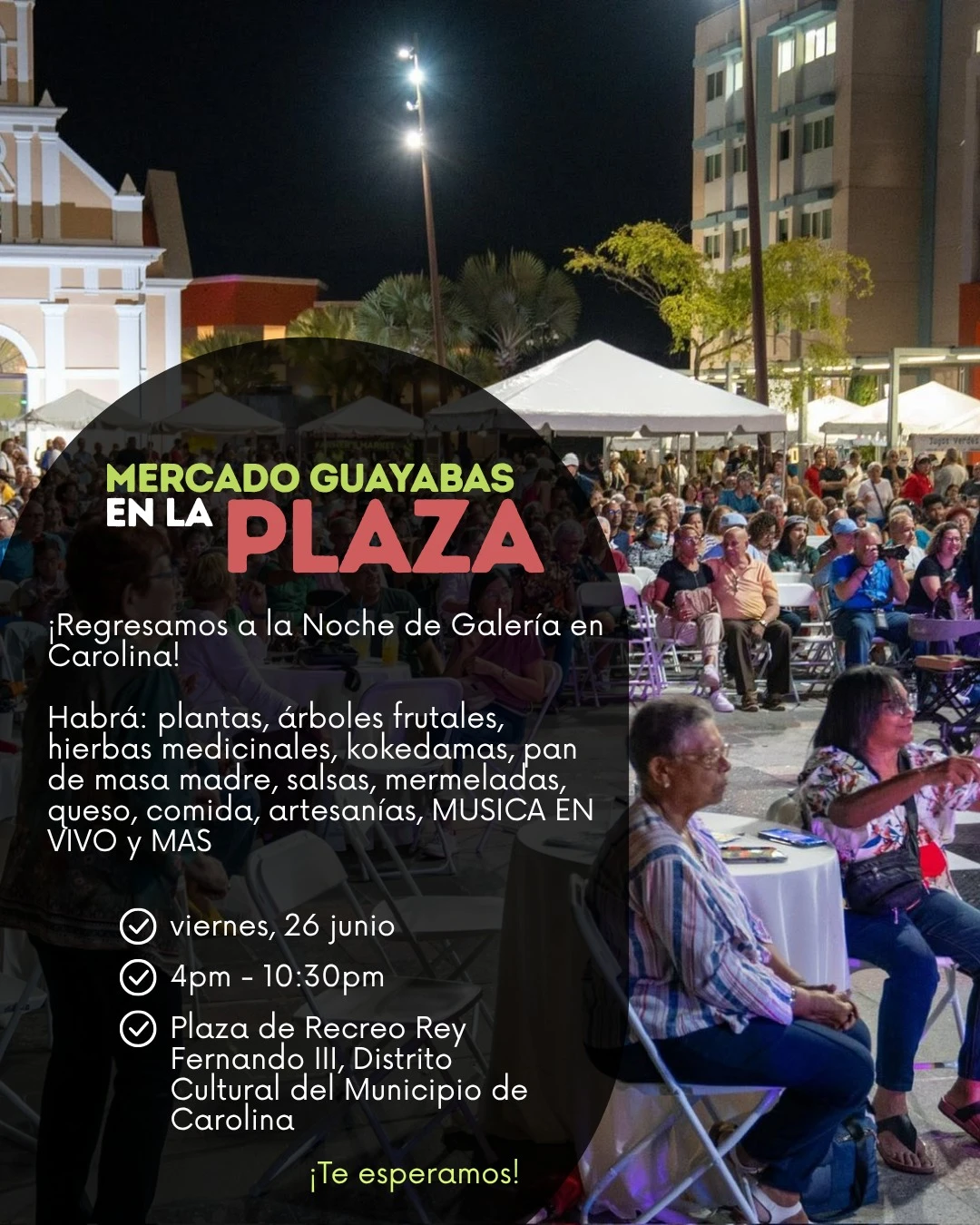 Mercado Guayabas - Noches de Galería