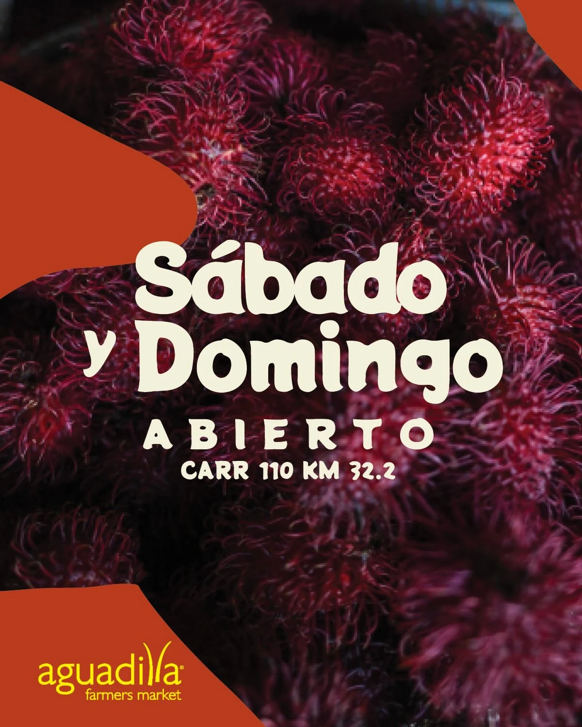 Aguadilla Farmer's Market
