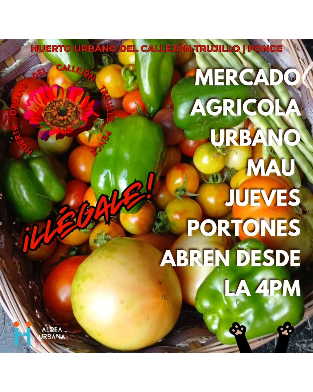 Mercado Agrícola Urbano