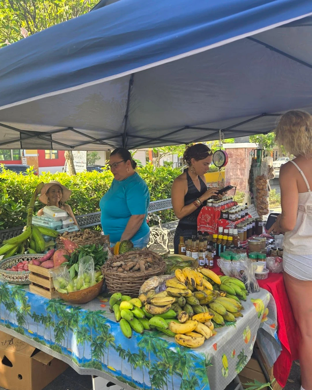 Mercado Agroecológico La Buena Vida