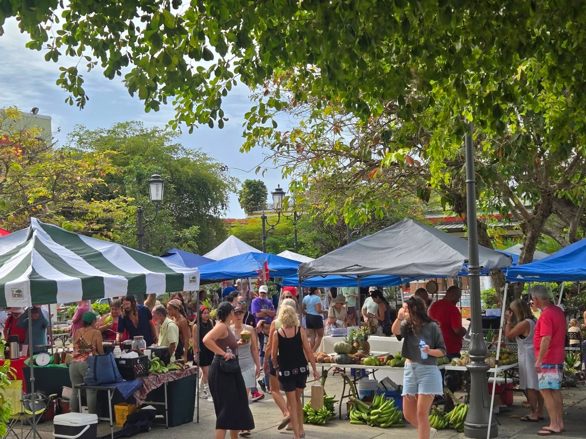 Mercado Agroecológico La Buena Vida