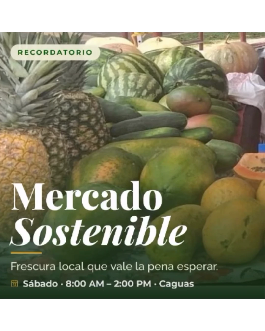 Mercado Sostenible de AgroInnova