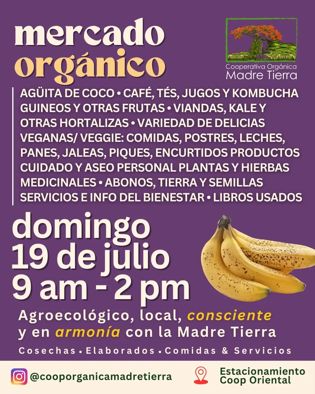 Mercado Orgánico Madre Tierra