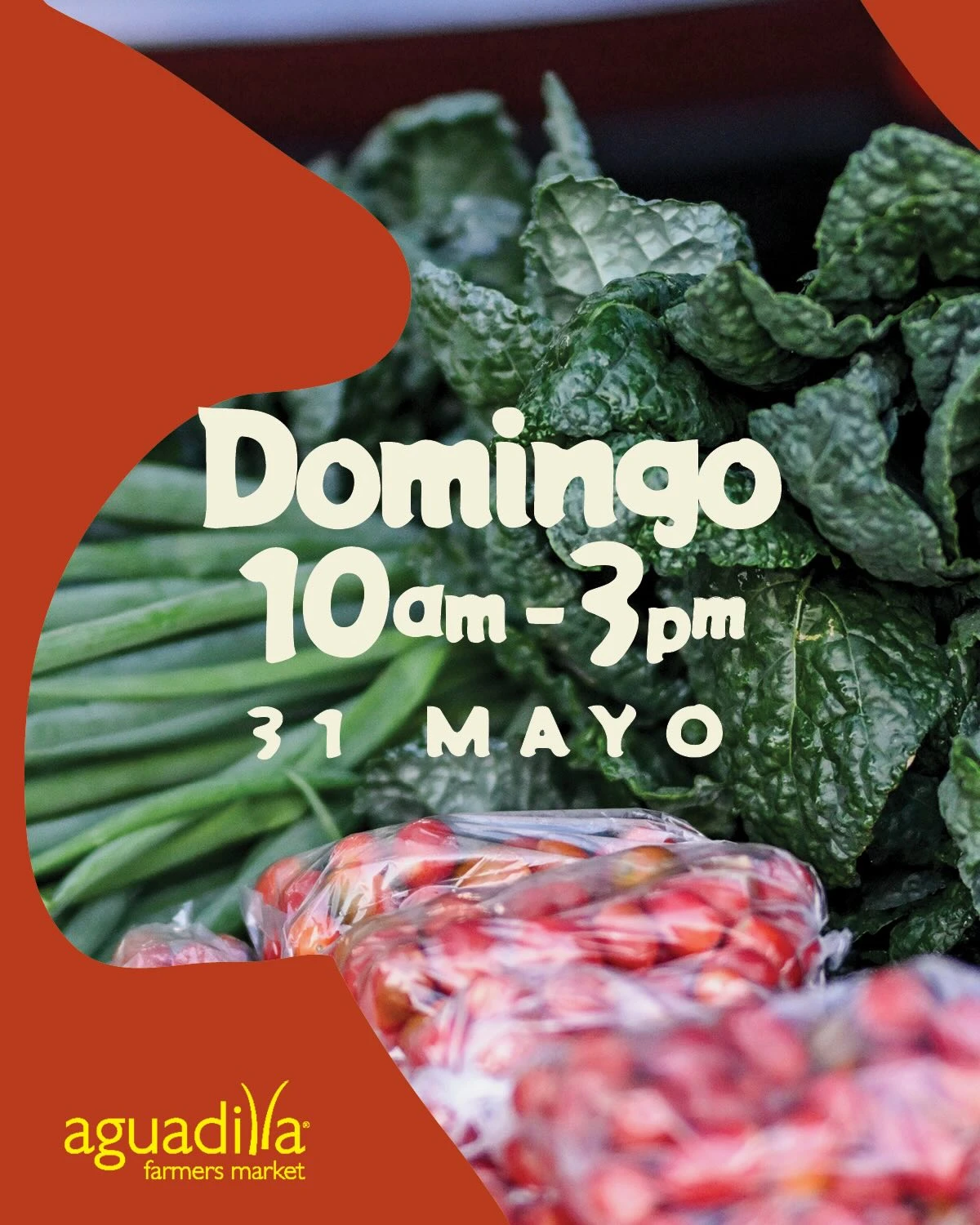 Aguadilla Farmer's Market