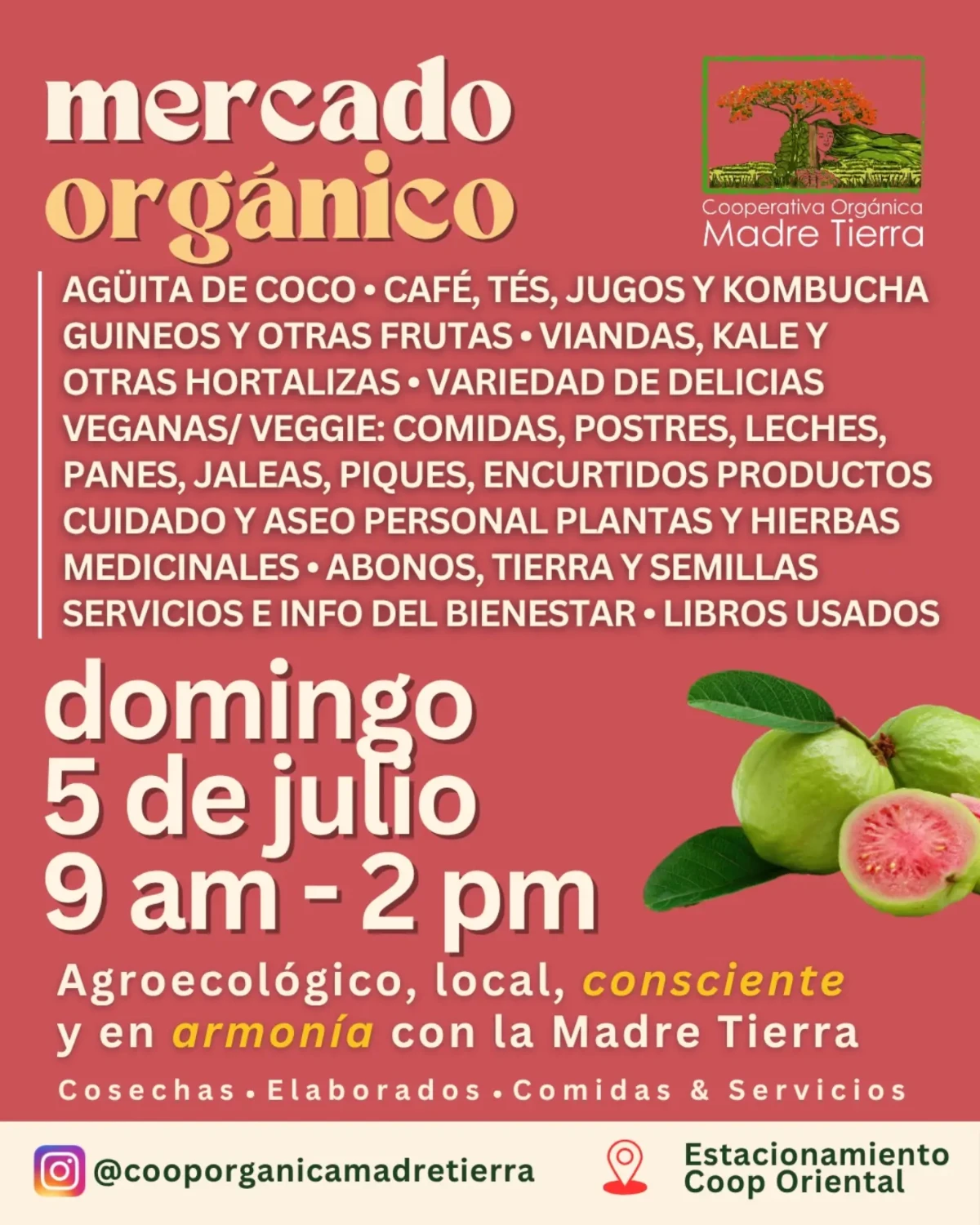 Mercado Orgánico Madre Tierra