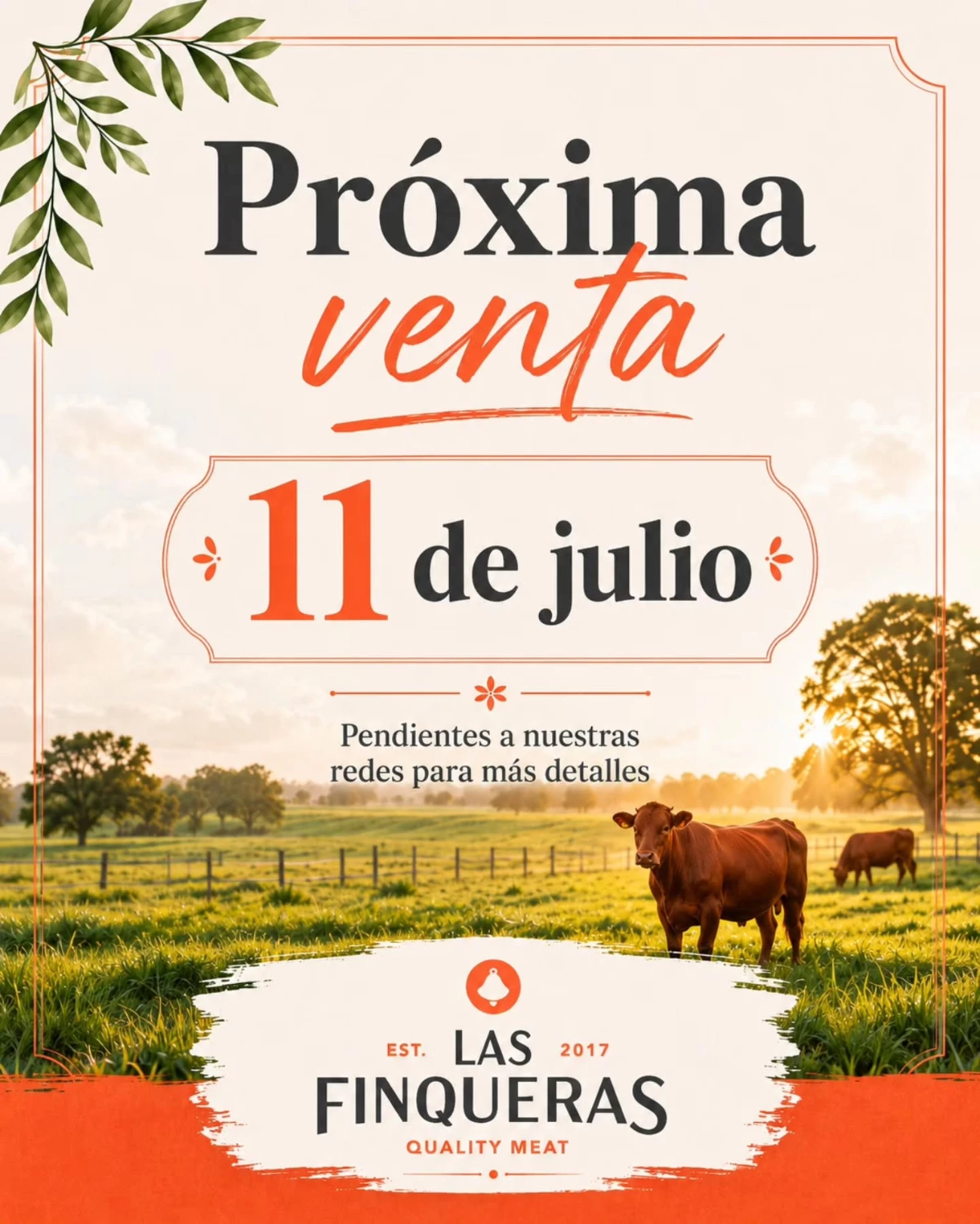 Las Finqueras Pop Up