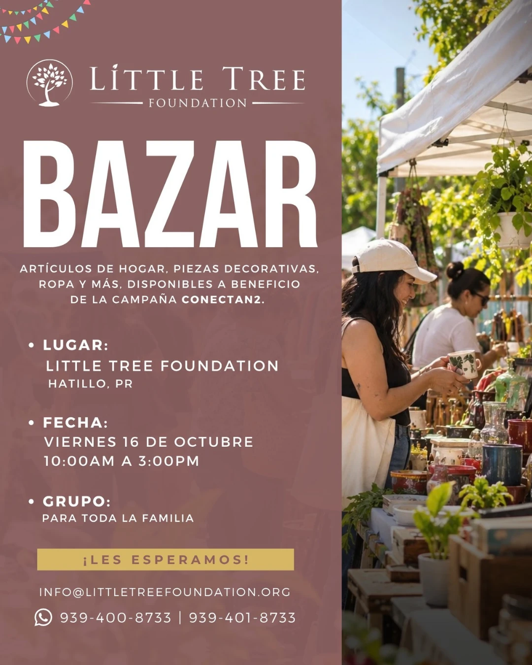 BAZAR del Little Tree Foundation