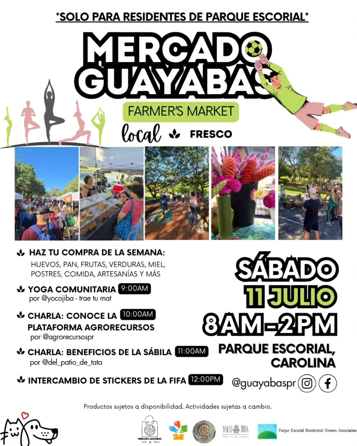 Mercado Guayabas - Carolina
