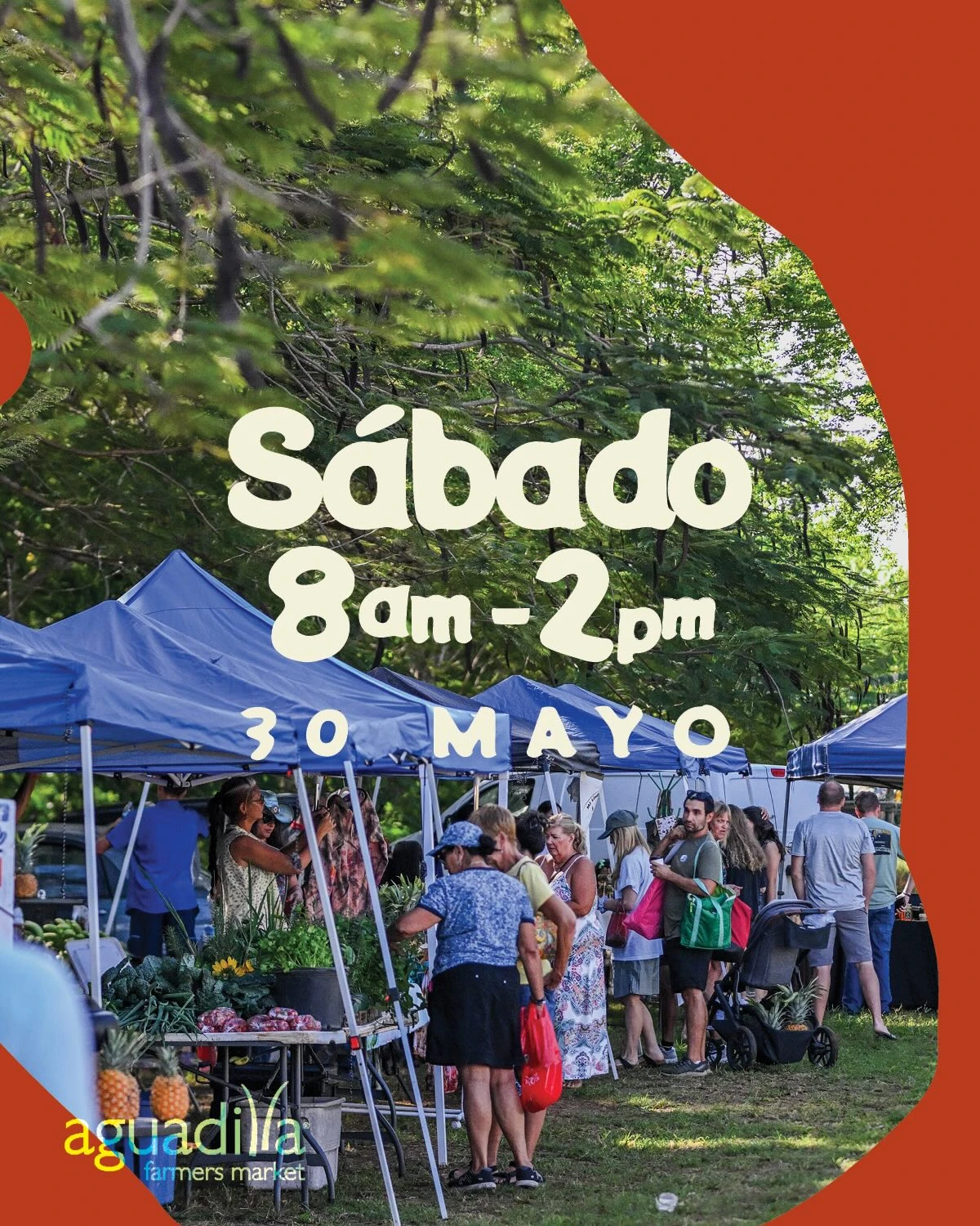 Aguadilla Farmer's Market