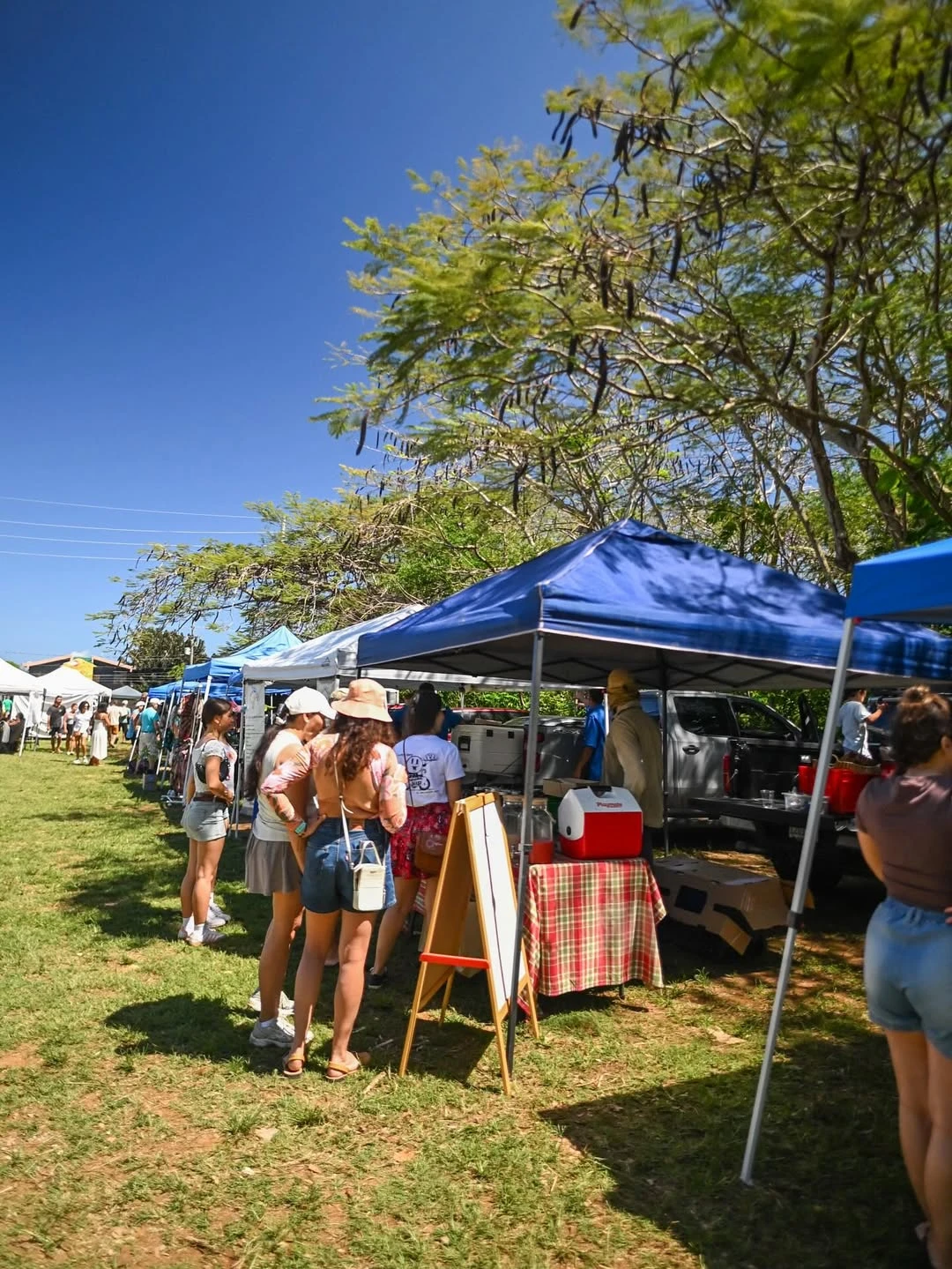 Aguadilla Farmer's Market