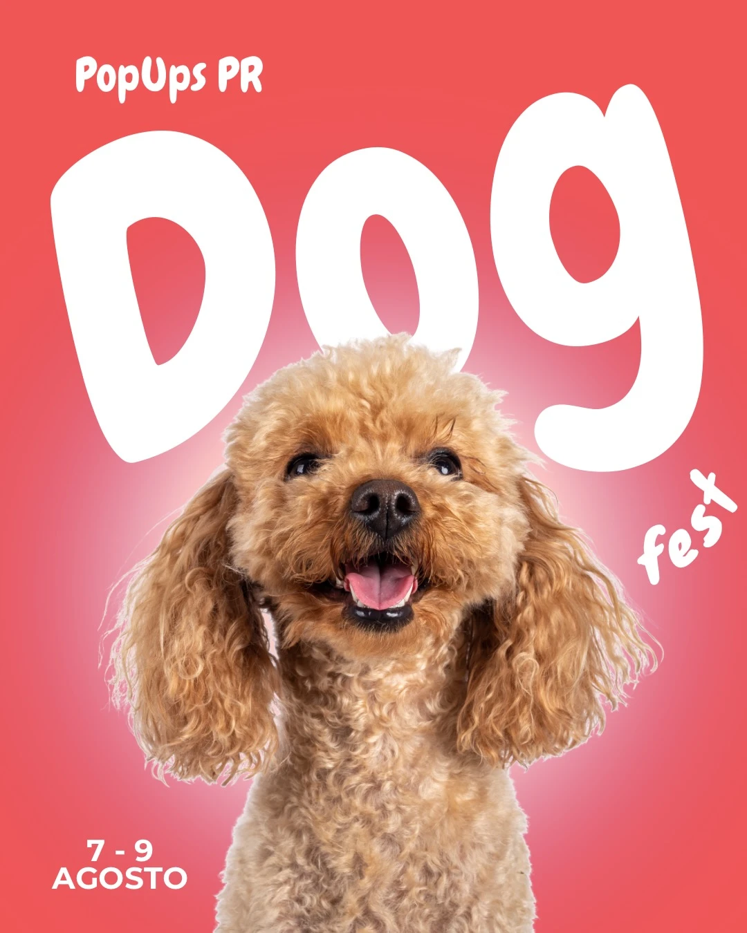 Dog Fest by Pop Ups PR