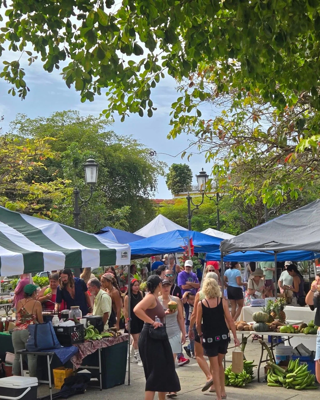 Mercado Agroecológico La Buena Vida